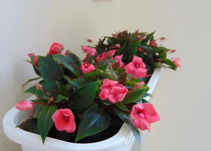 Ξενοδοχείο με διαμερίσματα Liberty 4*